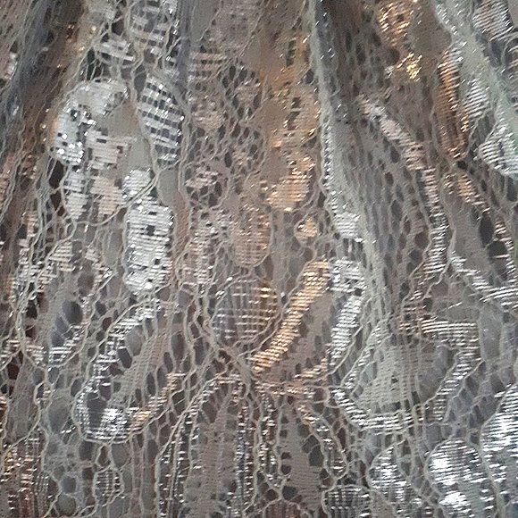 Silver Top - Picture 4 of 6